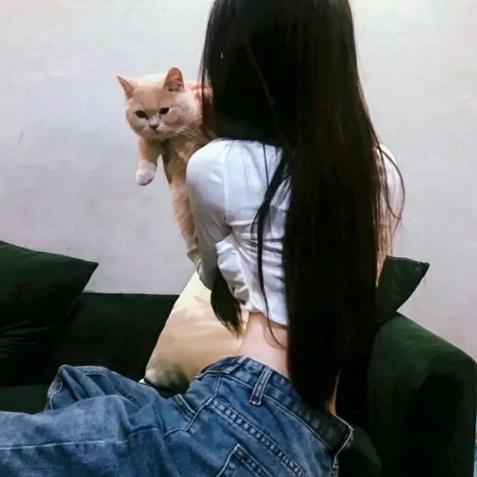 无处安身